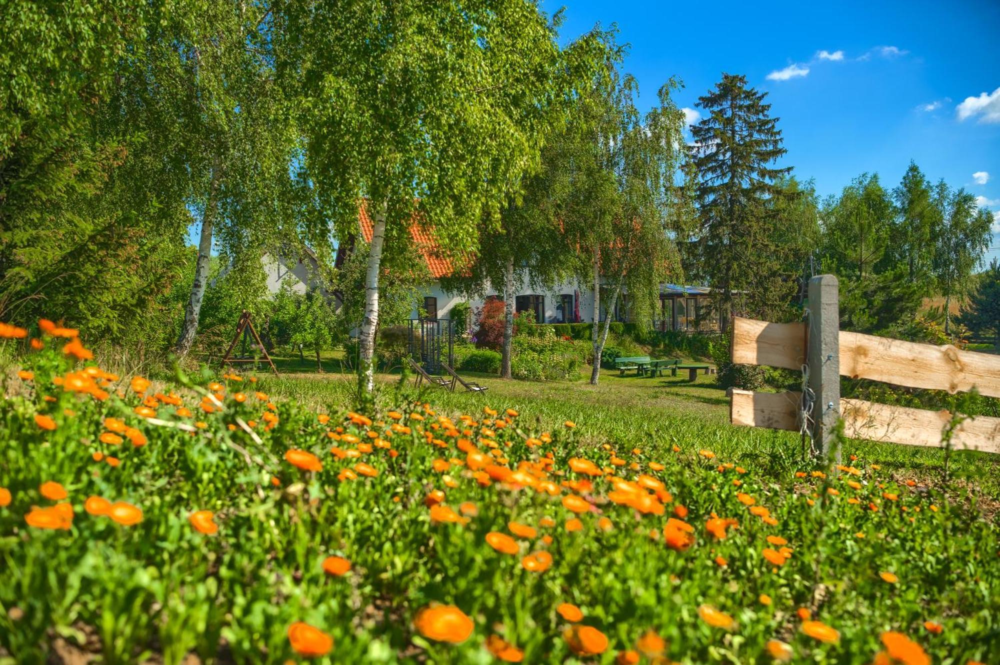 Jora Siedlisko Guest House Jora Wielka Exterior photo
